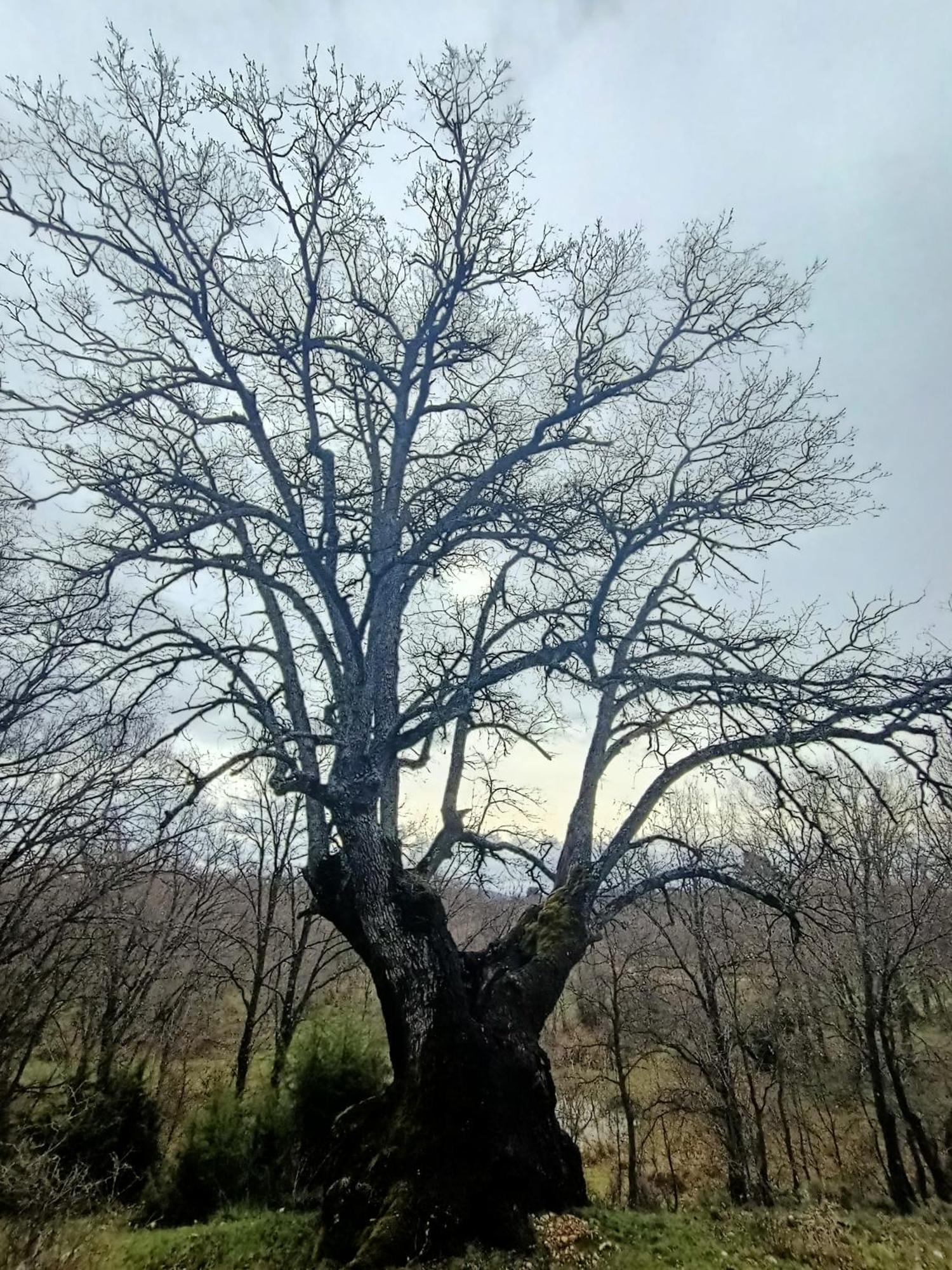 Alojamiento Rural El Cerro Fresneda de la Sierra المظهر الخارجي الصورة