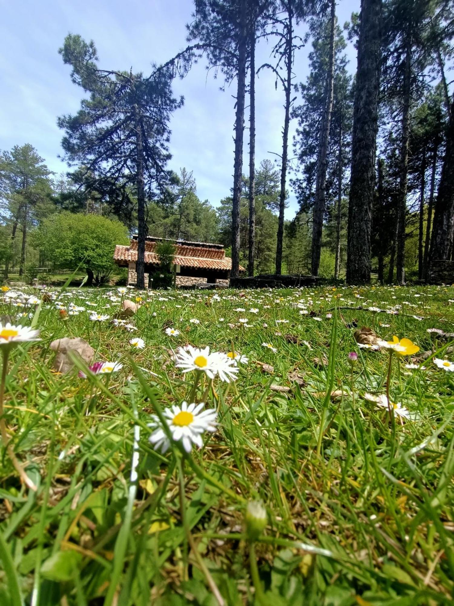 Alojamiento Rural El Cerro Fresneda de la Sierra المظهر الخارجي الصورة